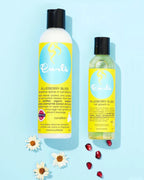 Curls Blueberry Bliss Hair Growth Oil -4 oz